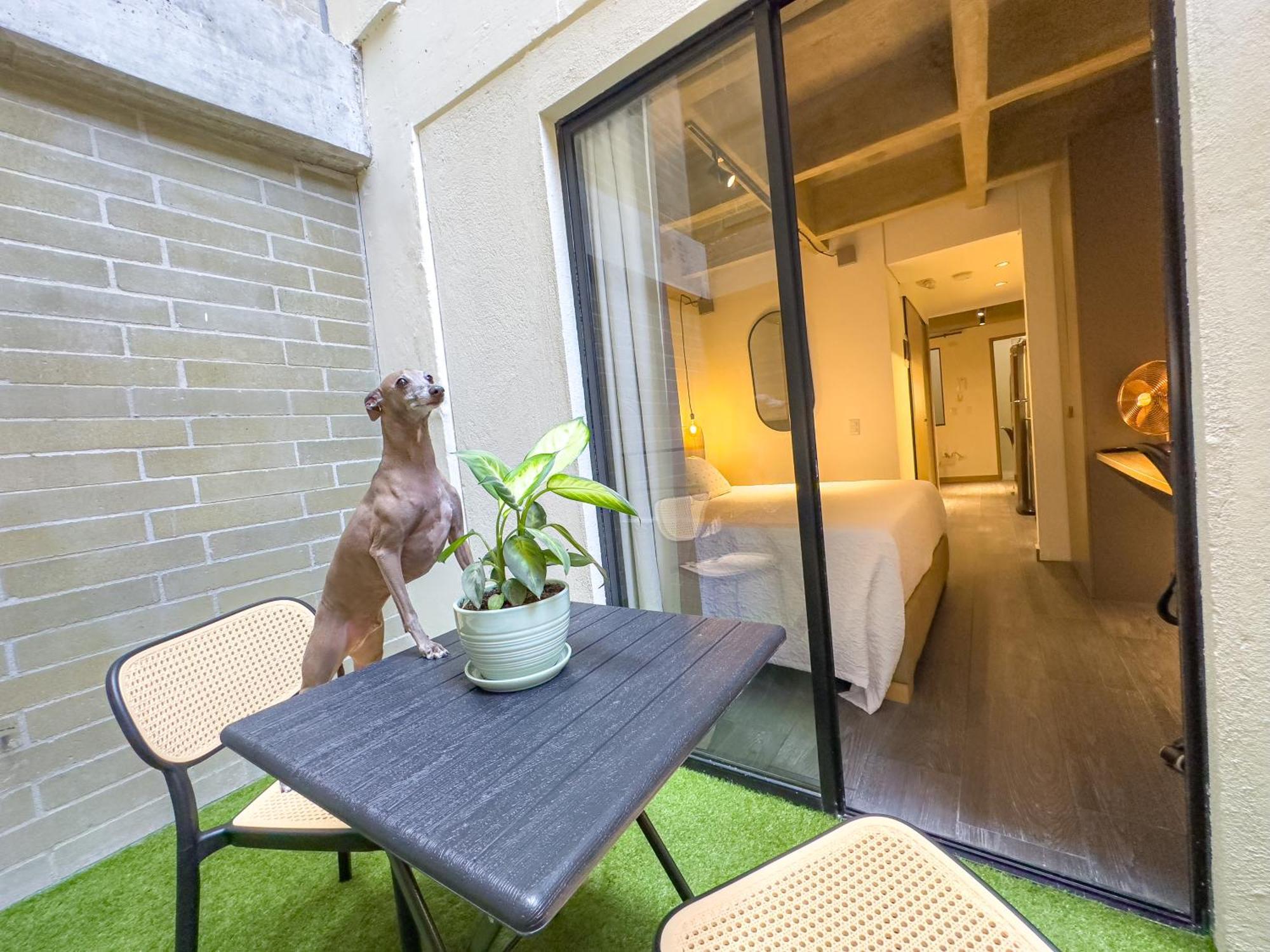 Apartamento B 48 Living By B Rent Medellín Exterior foto